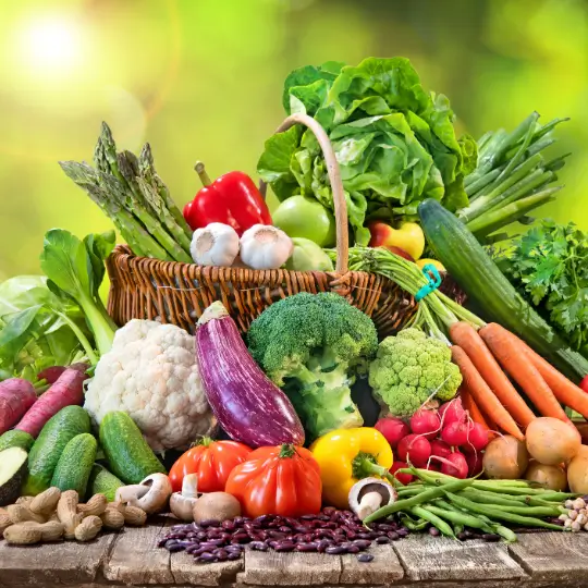 NUTRITION